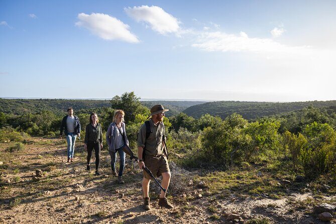 2 Day Addo Elephant Park Safari - An Honest Look at the Price and Value