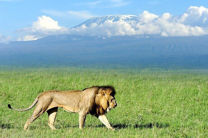 2-Day all inclusive safari to Amboseli National park from Nairobi - Practical Considerations