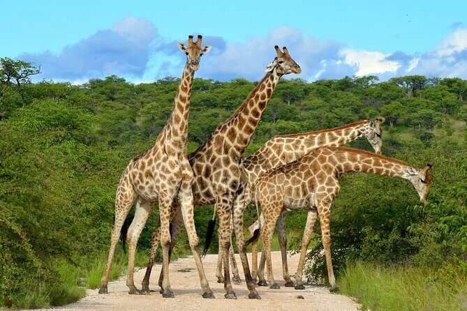 2 Day Budget Safari in Tarangire and Ngorongoro From Arusha - The Value of the Tour: Balancing Cost and Experience