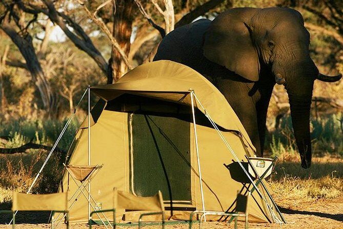 2-Day Camping Safari in Chobe National Park from Victoria Falls - Pricing and Value