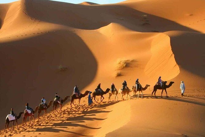 2 Day Desert Tour From Marrakech through the Atlas Mountains & Camel ride - Authentic Experiences and Tips for Travelers