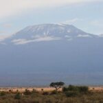2- Day Diani to Amboseli Flying Safari - Detailed Breakdown of the Safari Experience
