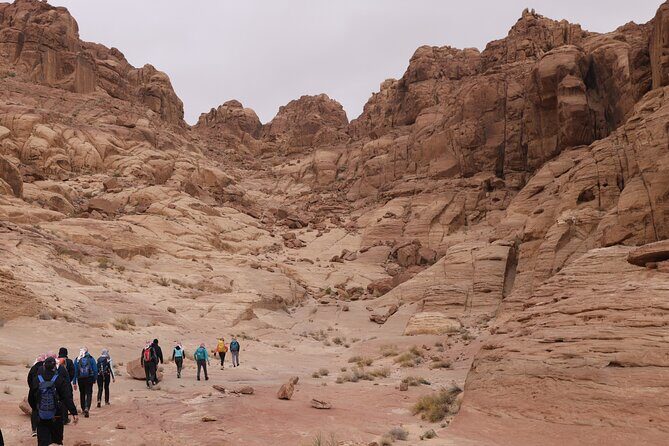 2-day Hiking Adventure and Jeep Tour from Wadi Rum - Who Should Consider This Tour?