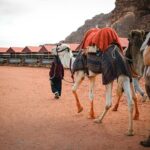 2-Day Jordan Guided Tour Petra, Wadi Rum and Dead Sea - What Makes This Tour Stand Out?