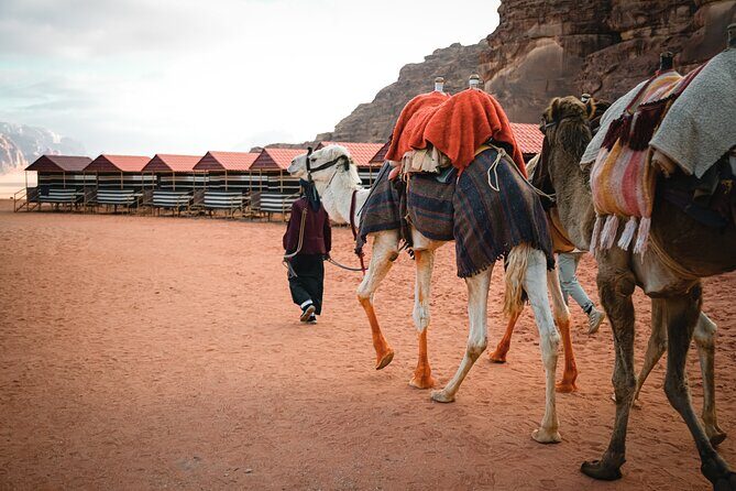 2-Day Jordan Guided Tour Petra, Wadi Rum and Dead Sea - What Makes This Tour Stand Out?