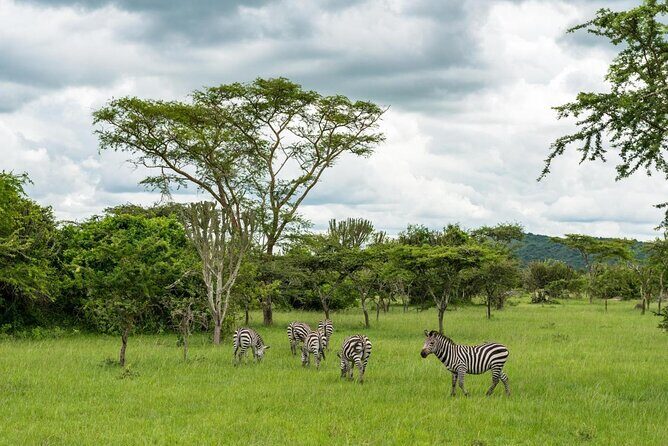 2 Day Lake Mburo National park wildlife Safari - Key Points