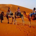 2 Day Luxury Desert Tour from Fes to Fes or Marrakech - What to Expect from the Transportation