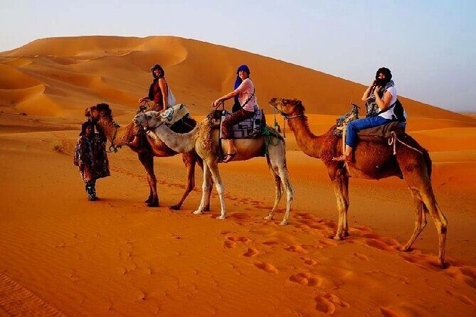 2 Day Luxury Desert Tour from Fes to Fes or Marrakech - What to Expect from the Transportation