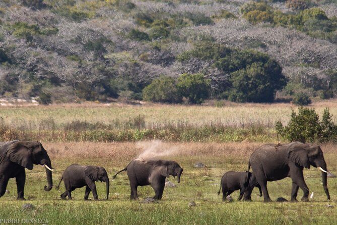 2-Day Maputo Special Reserve Guided Tour - Who Is This Tour Best For?