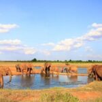 2-Day Mombasa to Tsavo East Safari - Who Is This Tour Best For?
