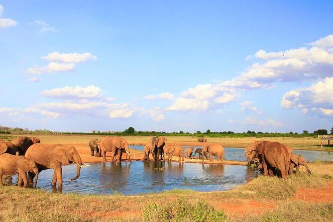 2-Day Mombasa to Tsavo East Safari - Who Is This Tour Best For?