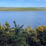 2-Day Outlander Experience Small Group Tour from Edinburgh - Final Thoughts on the 2-Day Outlander Experience