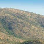 2 Day Pilanesberg Camping Safari - Transportation, Timing, and Group Size