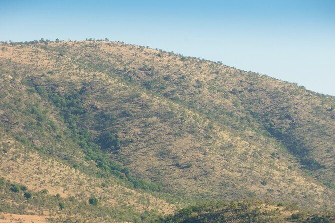 2 Day Pilanesberg Camping Safari - Transportation, Timing, and Group Size