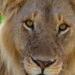 2-Day Private Guided Tour to Tarangire and Ngorongoro - Value for Money and Overall Experience