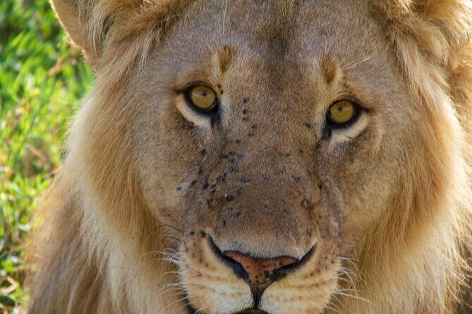 2-Day Private Guided Tour to Tarangire and Ngorongoro - Value for Money and Overall Experience