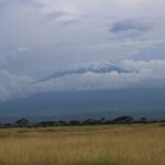 2-Day Private Safari to Amboseli National Park - The Experience of the Guides and Reviews