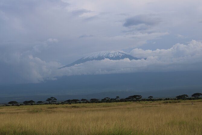 2-Day Private Safari to Amboseli National Park - The Experience of the Guides and Reviews
