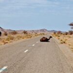 2-Day Private Tour from Marrakech to the Sahara Desert and Camel trek - Practicalities and Value
