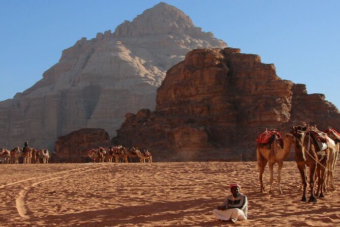 2-Day Private Tour in Jordan - Deluxe Tent - Why This Tour Offers Great Value