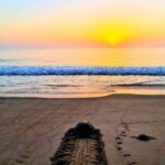 2-day Private Tour to Ras Al Hadd - What Makes This Tour Stand Out?