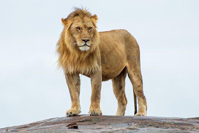 2-Day Private Tour Tsavo East and West from Diani Beach - The Itinerary in Detail