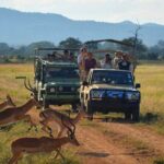 2 Day Safari Isimangaliso Wetland Park & Hluhluwe Imfolozi from Durban - Practical Details: What You Need to Know