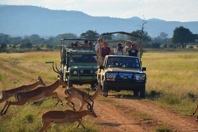 2 Day Safari Isimangaliso Wetland Park & Hluhluwe Imfolozi from Durban - Practical Details: What You Need to Know