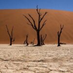 2 Day Scenic Sossusvlei Adventure Tour in Namibia - Why This Tour Offers Great Value