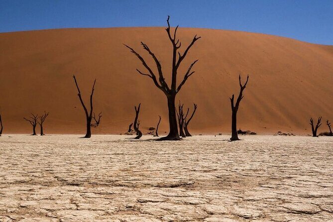 2 Day Scenic Sossusvlei Adventure Tour in Namibia - Why This Tour Offers Great Value