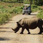 2 Day South African Wildlife Tour with 4x4 Safari from Cape Town - Authentic Experiences and Unique Insights