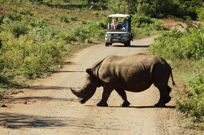 2 Day South African Wildlife Tour with 4x4 Safari from Cape Town - Authentic Experiences and Unique Insights