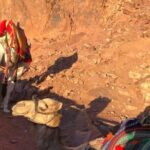 2-Day St Catherine and Moses Mountain Tour from Cairo - Practical Tips for Future Travelers