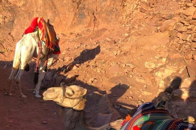 2-Day St Catherine and Moses Mountain Tour from Cairo - Practical Tips for Future Travelers