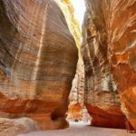 2 Day Tour Petra Wadi Rum and Dead Sea from Amman - Why This Tour Offers Great Value