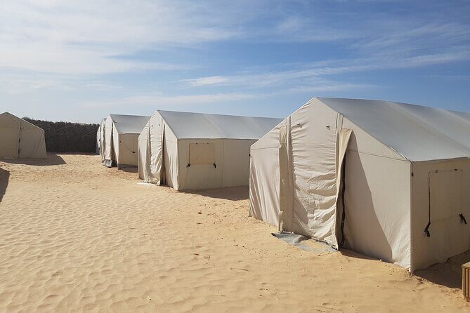 2-Day Tunisia Sahara Desert Camel Trek from Douz - A Complete Breakdown of the 2-Day Sahara Camel Trek