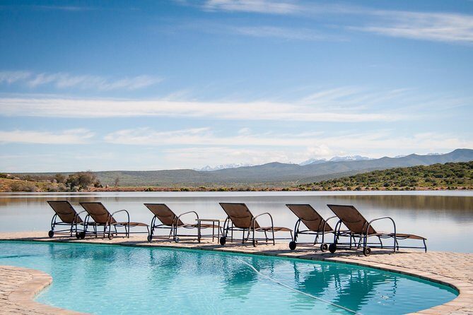 2 Day Wild Heart Western Cape Safari Tour with Private Transfers - Day 1: From Cape Town to Wilderness & Wildlife