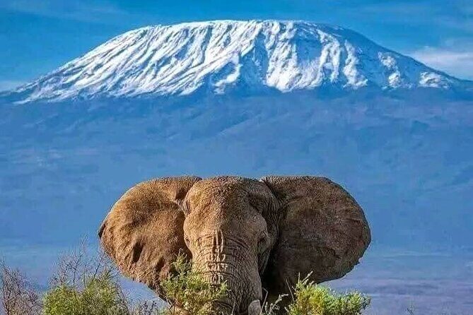 2 Days 1 Night Amboseli National Park Private Safari. - Potential Drawbacks and Considerations