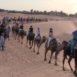 2 Days / 1 Night Excursion to Zagora from Marrakech - Luxury Bivouac - Day 1: Exploring Ait-Ben-Haddou and Traveling to Zagora