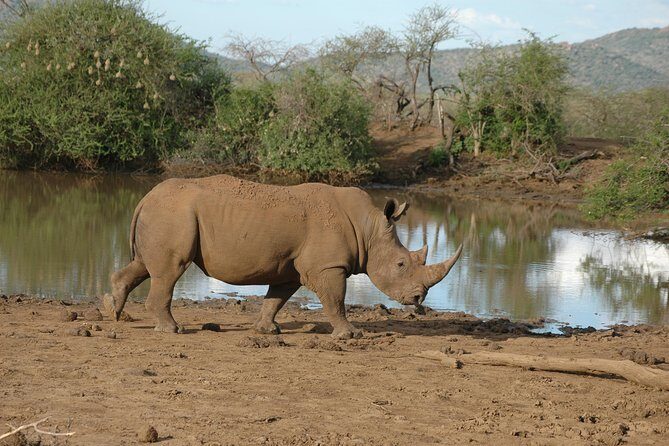 2 Days / 1 Night Join group safari - An In-Depth Look at the Itinerary
