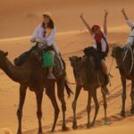 2 Days, 1 Night Luxury Desert Trip (Fes to Fes Or Marrakech) - Who Would Love This Tour?