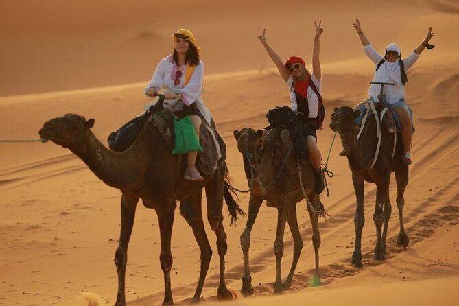 2 Days, 1 Night Luxury Desert Trip (Fes to Fes Or Marrakech) - Who Would Love This Tour?