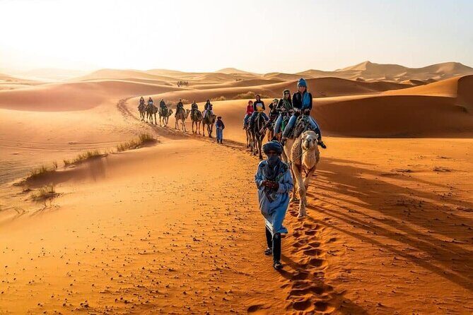 2 Days/1 Night Sahara Desert Trip: Fes - Merzouga - Fes - What Travelers Have Said