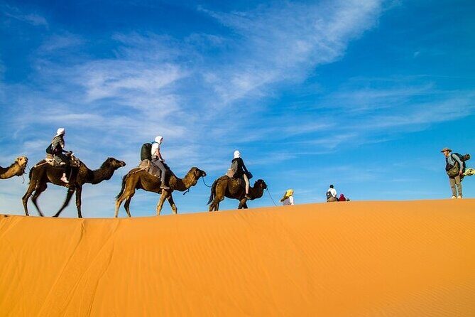2 Days/1 Night Sahara Desert Trip: Fes - Merzouga - Marrakech - Who is This Tour Best For?