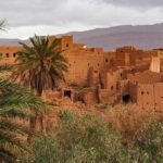 2 Days 1 Night To Zagora Desert From Marrakech: Private Trip - Day 2: From Desert to Marrakech