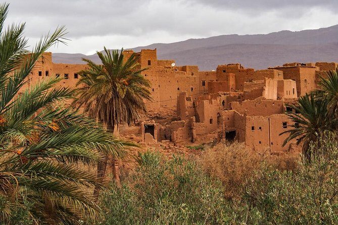 2 Days 1 Night To Zagora Desert From Marrakech: Private Trip - Day 2: From Desert to Marrakech