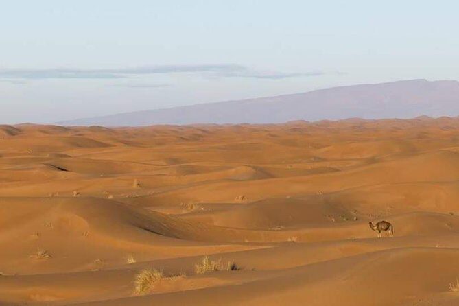 2 Days/1 Night Tour From Mhamid to Erg Chigaga - Practical Details and Why This Tour Works