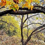 2 Days 1 Night Wakan Private Tour - In-Depth Look at the Itinerary