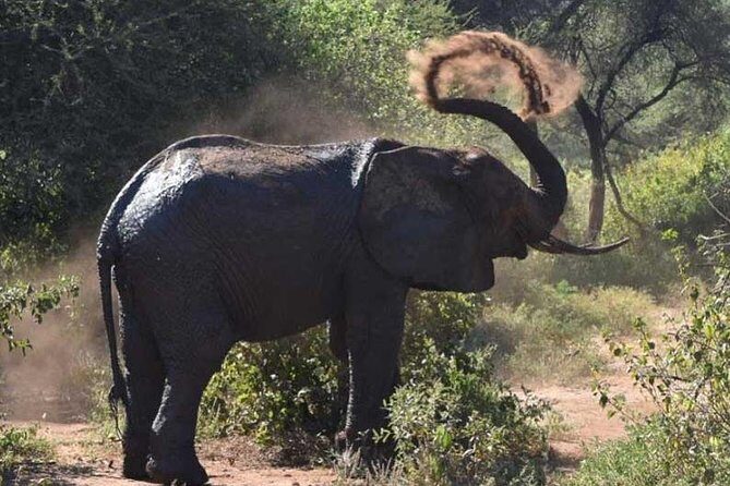 2 Days Africa Safari - Who Is This Tour Best For?