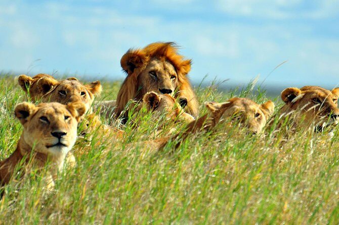 2 days Amboseli National Park Safari - What’s Included & What’s Not